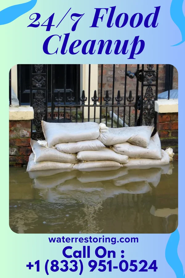 24/7 Flood Cleanup in Orlovista, FL