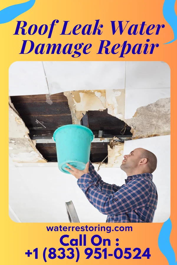 Roof Leak Water Damage Repair in Orlovista, FL